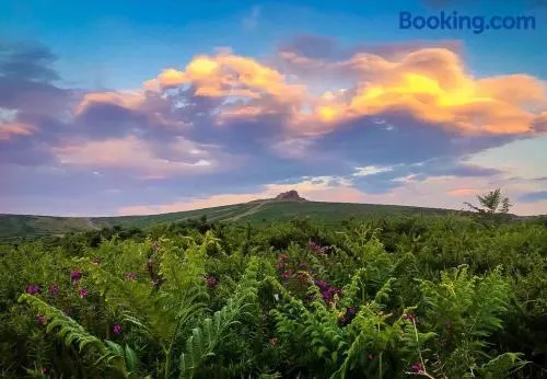 Haytor Court, Haytor, Dartmoor - The Moor on Your Doorstep - Image 1