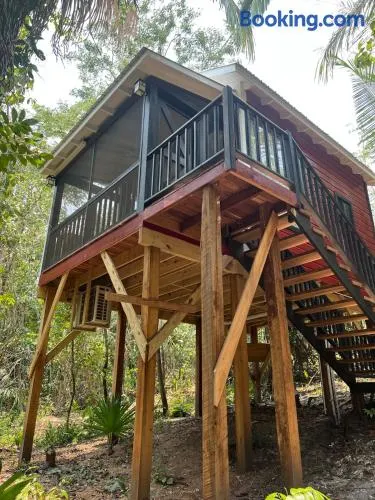 Enchanted Jungle Treehouse - Image 1