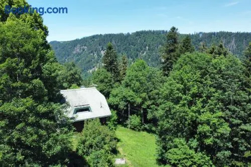 Historisches Schwarzwald-Märchenhaus in Alleinlage - Image 1