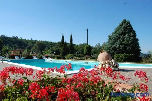 Fattoria Antognoni - Image 1