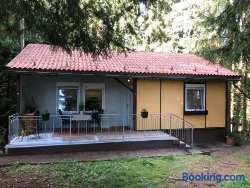 Ferienhaus am Wald - Image 1