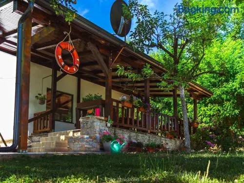Vila Marina na obali Dunava - Image 1