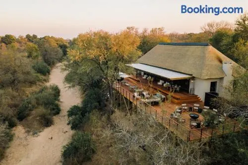 Thornybush Simbambili Lodge - Image 1