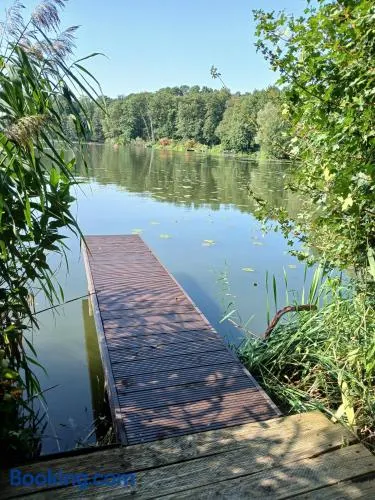Seeidyll - Image 1