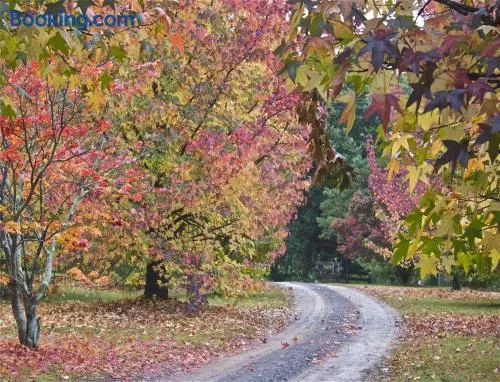 Rustic Spirit - Image 1