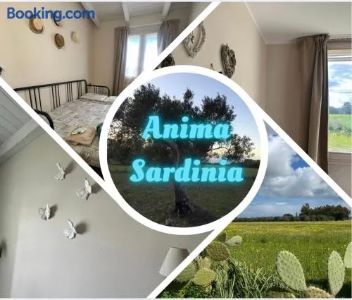Anima SARDINIA - Image 1