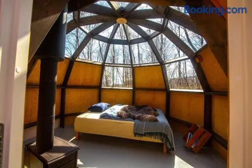 ECO LODGE Naturens egen luksus - Image 1