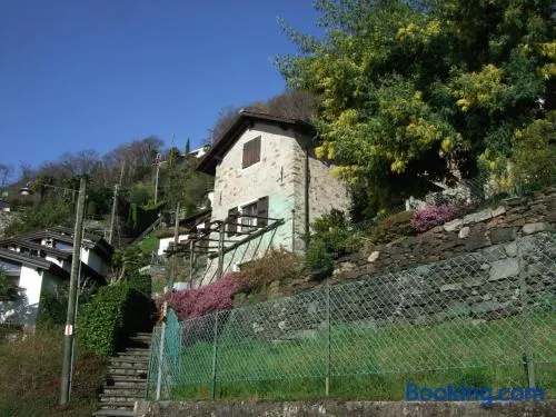 Rustico Storelli - Image 1