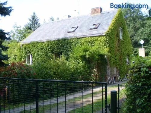 Fantastico appartamento adatto alle famiglie con barbecue, giardino e terrazza | Vista sul giardino - Image 1