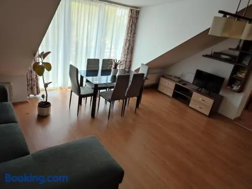 LARIX Apartman - Image 1