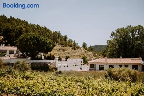 Finca Seguró - Image 1
