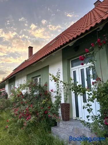 Villa Viktória - Image 1