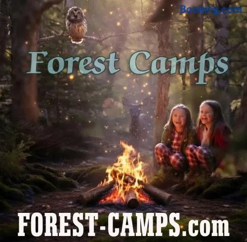 Forest Camps - Image 1
