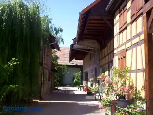Gite Géranium - La Cour De J'anne - Image 1