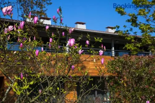 Apartamentos Casona de la Paca - Image 1