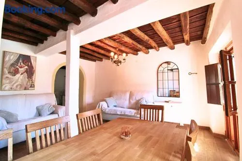El Pintaillo - Image 1