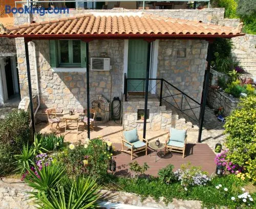 The Olive Tree - Image 1