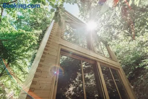Treebox Noszvaj - Image 1