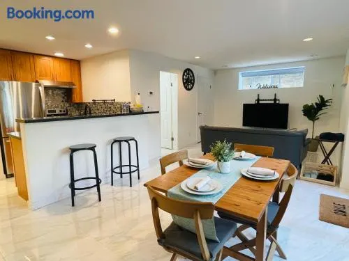 Adorable 2-Bedroom Basement in Vancouver - Image 1