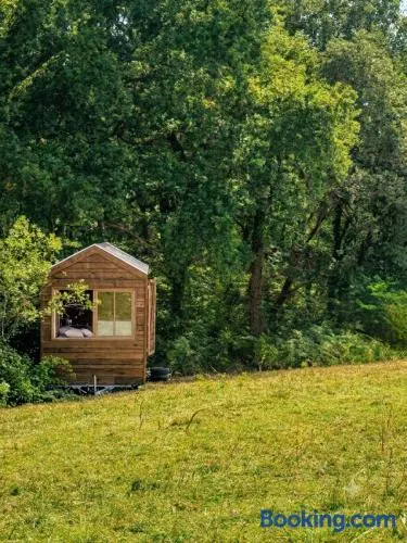 Tiny House en lisière de bois - Image 1