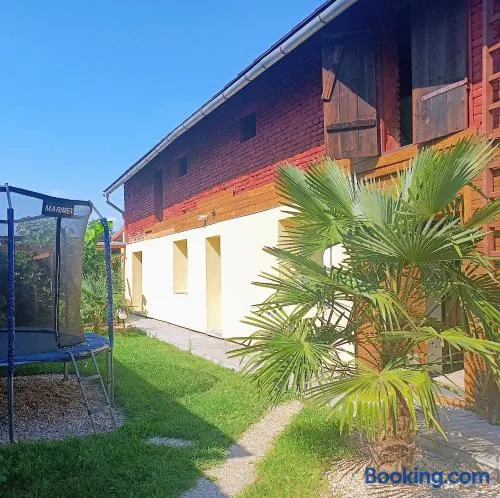 Apartmán U Tří Palem - Image 1