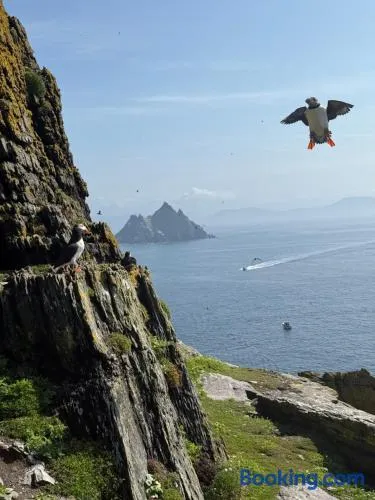 Skellig Apartment - Image 1