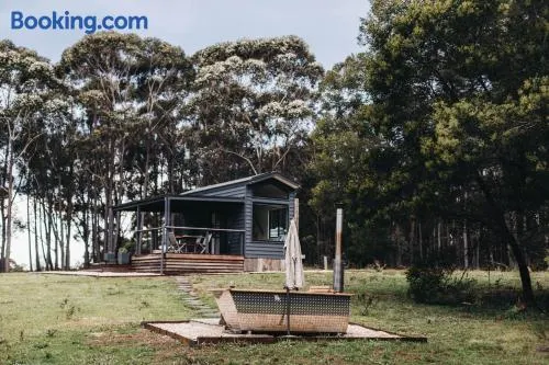 Wildernest - Image 1