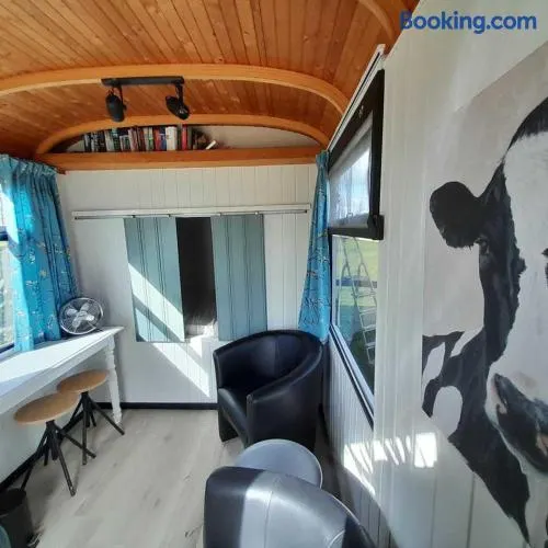 protte Wille - Image 1