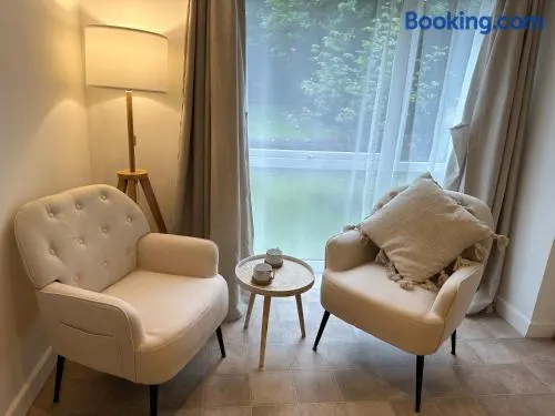 Entire studio flat - Image 1
