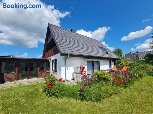 Ulenspegel - Image 1