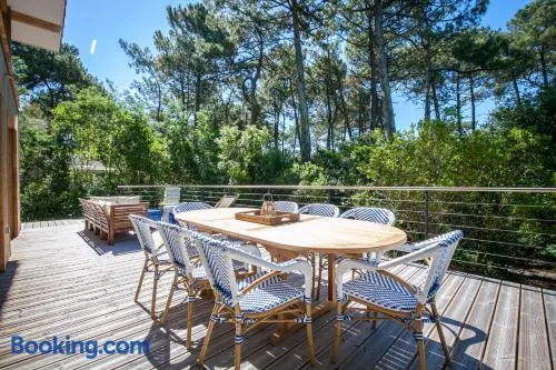 Villa Des Sittelles au Cap Ferret - Proche Plage des Américains et Belisaire - Image 1