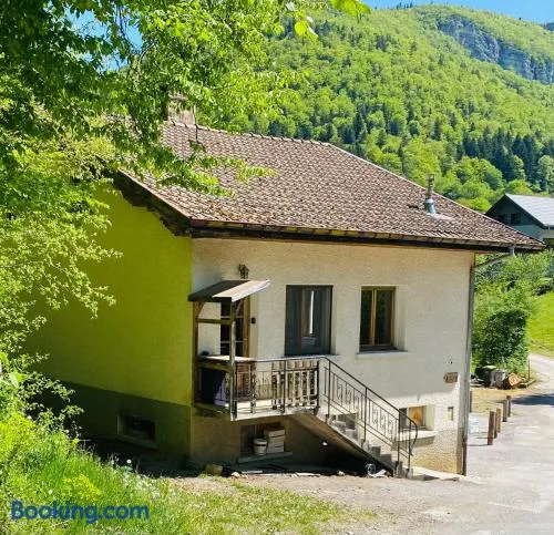 Gîte de la forêt - Image 1
