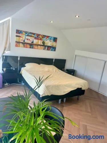 Ruime slaap kamer met werkplek en privé badkamer Leeuwarden bij Jacqueline - Image 1