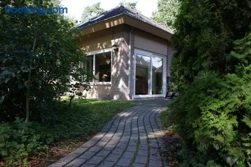 Bungalow 6 personen - Image 1