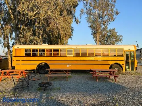 The Magic Skoolie: gateway to the Sequoias - Image 1