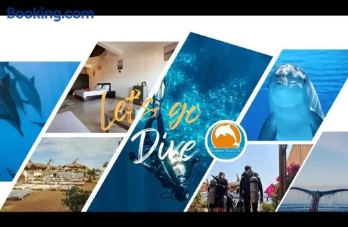 SunshineDiversClub - Sharks Bay - Image 1