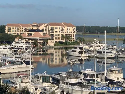 Newly Remodeled Hilton Head Villa - Image 1