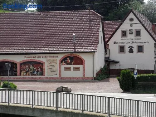 Restaurant & Pension "Bauernhof zum Silberbergwerk" - Image 1