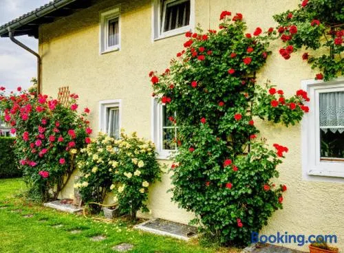 Prestige-Apartment-Chiemsee - Image 1