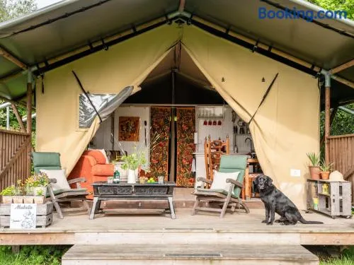 Black Pig Retreats Luxury Glamping - Image 1