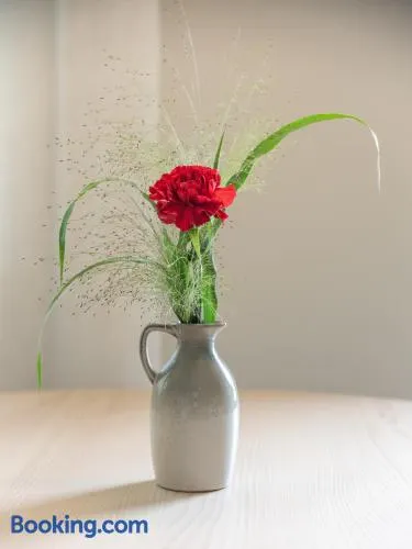 Dianthus Apartment - Image 1