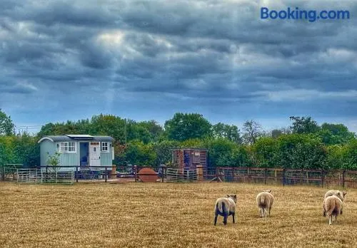 The Meadows Hut - Image 1