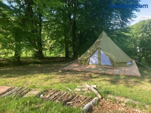 Rundzelt - Image 1