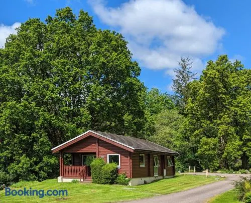 Ruskin Lodges Argyll, by Puck's Glen, Rashfield near Dunoon - Image 1