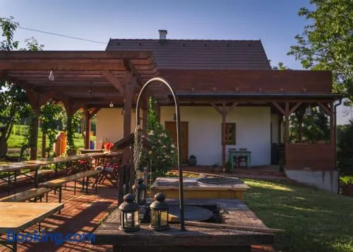 Kispince Wellness Borbirtok - Image 1