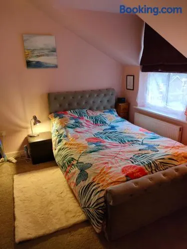 Cosy flat in central Wellington - Image 1