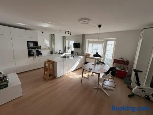 120 m2 newly renovated apartment - Image 1