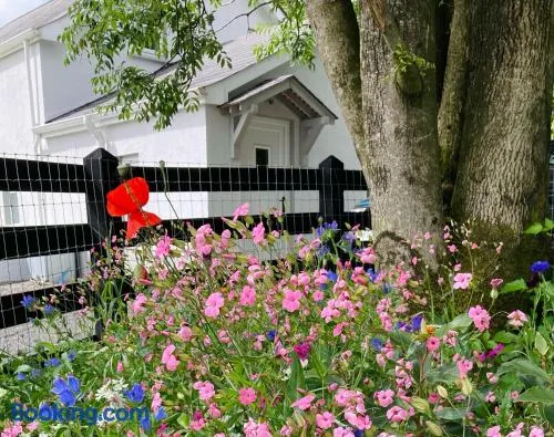Beech Tree Cottage - Image 1