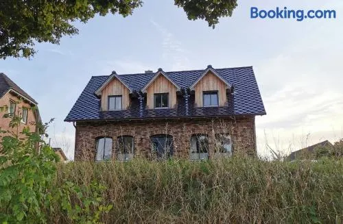 Haus am Deich 47 stilvolles Landhaus an der Elbe in Stadtnähe - Image 1