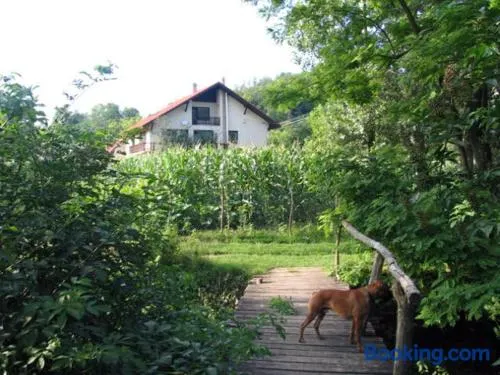 Erdőalja-Padlástér - Image 1